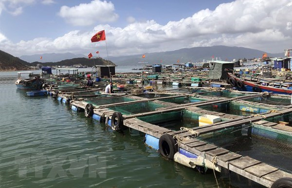 Adoption du programme national de développement de l’aquaculture pour la période 2021-2025 ảnh 1 Adoption du programme national de développement de l’aquaculture pour la période 2021-2025 ảnh 1