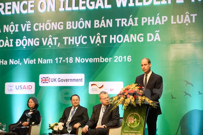 3e conférence internationale sur le trafic illégal d'animaux sauvages ảnh 1 3e conférence internationale sur le trafic illégal d'animaux sauvages ảnh 1