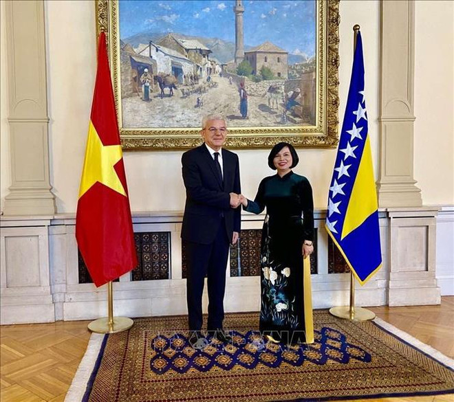 La Bosnie-Herzégovine impressionnée par les réalisations économiques du Vietnam ảnh 1 La Bosnie-Herzégovine impressionnée par les réalisations économiques du Vietnam ảnh 1