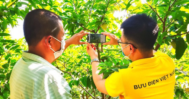 Une formation sur le commerce électronique pour les agriculteurs de Hung Yen ảnh 1 Une formation sur le commerce électronique pour les agriculteurs de Hung Yen ảnh 1