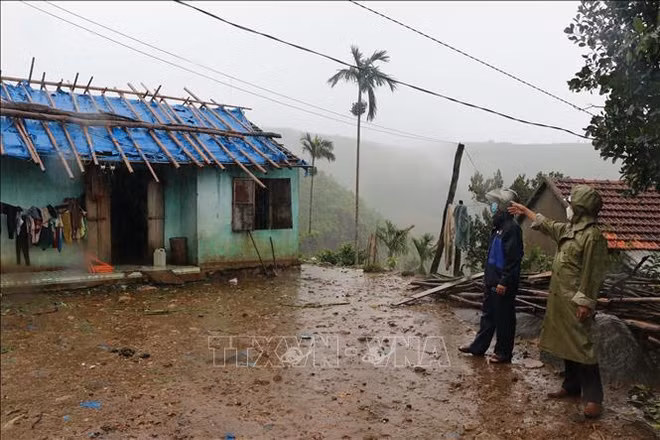 Environ de 3 à 5 tempêtes susceptibles d'affecter directement le Vietnam ảnh 2 Environ de 3 à 5 tempêtes susceptibles d'affecter directement le Vietnam ảnh 2