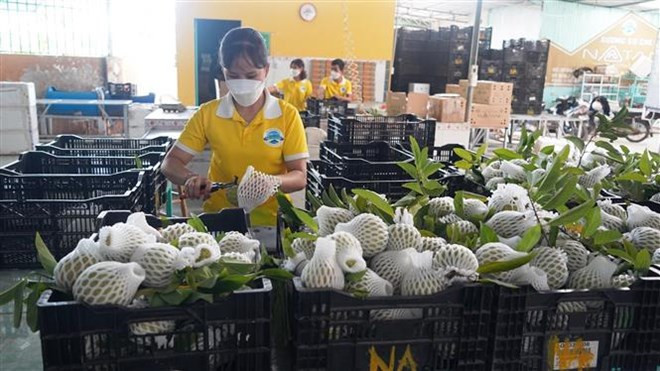 Passerelle pour les entreprises vietnamiennes et malaisiennes ảnh 1 Passerelle pour les entreprises vietnamiennes et malaisiennes ảnh 1