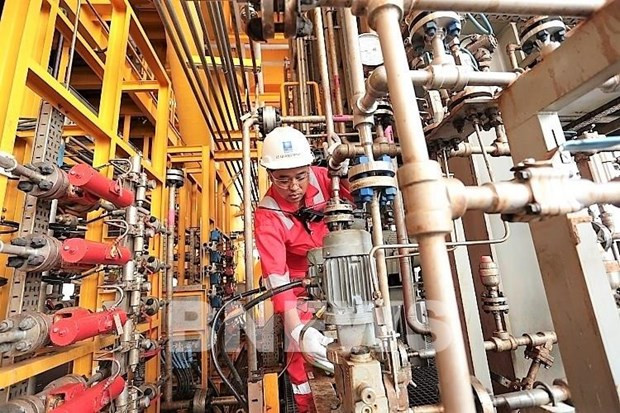 Le coût de production de Biendong POC devrait baisser de 12% cette année ảnh 1 Le coût de production de Biendong POC devrait baisser de 12% cette année ảnh 1