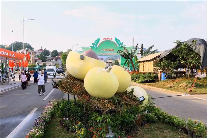 Le PM assiste au festival des fruits et légumes et des produits OCOP à Son La ảnh 1