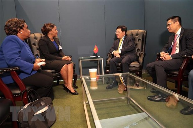 Le Vietnam renforce sa coopération bilatérale avec les Pays-Bas et les pays africains ảnh 2 Le Vietnam renforce sa coopération bilatérale avec les Pays-Bas et les pays africains ảnh 2
