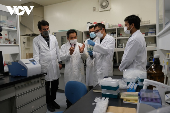 Des scientifiques vietnamiens découvrent des agents anticancéreux à partir de balles de riz ảnh 1 Des scientifiques vietnamiens découvrent des agents anticancéreux à partir de balles de riz ảnh 1