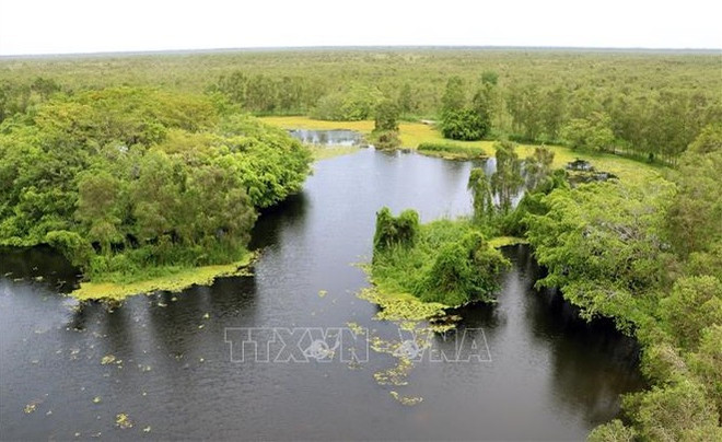 Le parc national d'U Minh Thuong, une destination éco-touristique hospitalière ảnh 2 Le parc national d'U Minh Thuong, une destination éco-touristique hospitalière ảnh 2