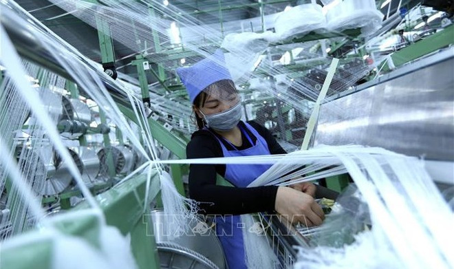 IDE: Le Vietnam connaît de bons signes dès le début de l’année ảnh 1