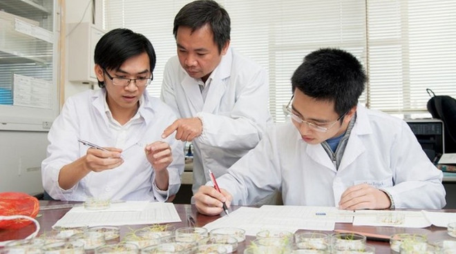 Des scientifiques vietnamiens découvrent des agents anticancéreux à partir de balles de riz ảnh 2 Des scientifiques vietnamiens découvrent des agents anticancéreux à partir de balles de riz ảnh 2