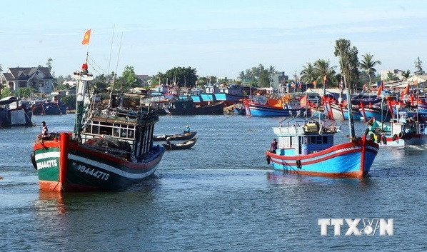 L’investissement dans les ports de pêche contribue à l’aquaculture durable ảnh 1 L’investissement dans les ports de pêche contribue à l’aquaculture durable ảnh 1