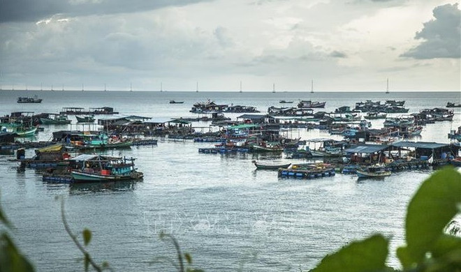 Publication du rapport sur l'économie maritime bleue ảnh 1 Publication du rapport sur l'économie maritime bleue ảnh 1