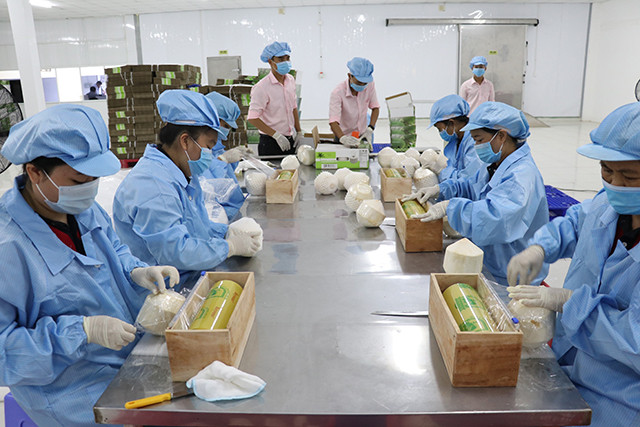 Expansion des débouchés pour les fruits et légumes vietnamiens ảnh 1 Expansion des débouchés pour les fruits et légumes vietnamiens ảnh 1
