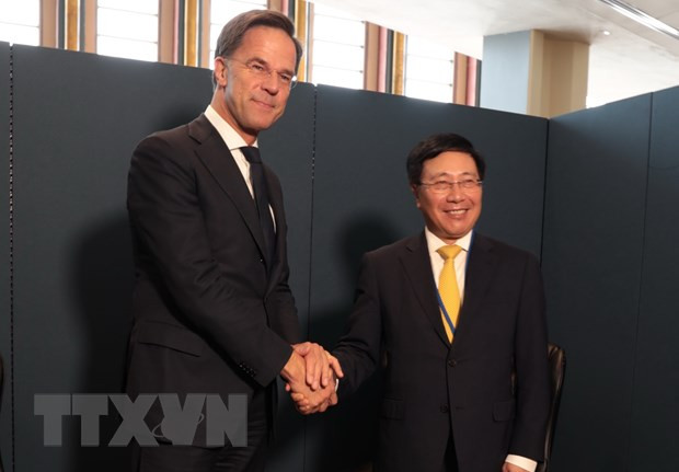 Le Vietnam renforce sa coopération bilatérale avec les Pays-Bas et les pays africains ảnh 1 Le Vietnam renforce sa coopération bilatérale avec les Pays-Bas et les pays africains ảnh 1