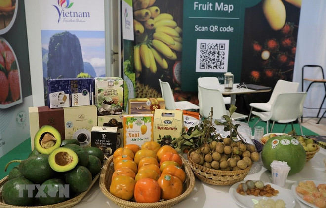 Les marchés exigeants, nouvelle étape pour la commercialisation des fruits vietnamiens ảnh 1