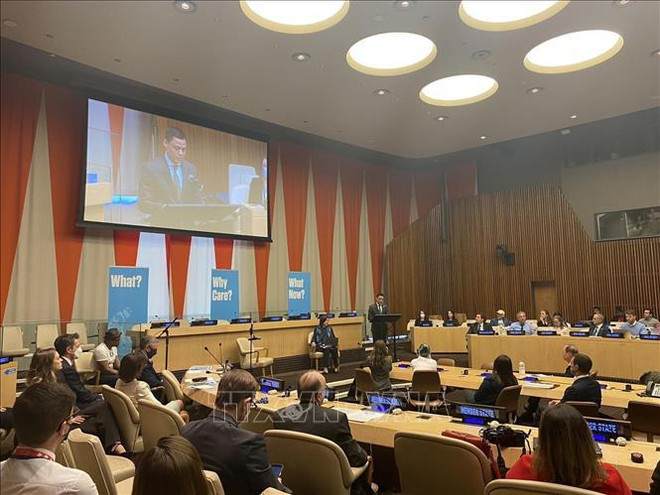 Le Vietnam présente ses expériences sur le traitement des conséquences des bombes et des mines ảnh 2