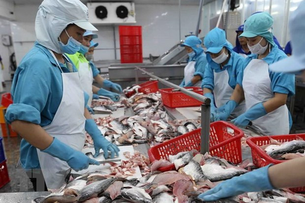 Dynamiser les exportations vietnamiennes vers le Mexique ảnh 1