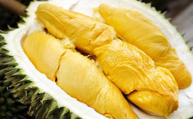 Le Vietnam pourrait exporter cette année des durians vers la Chine ảnh 1
