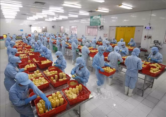 Exportations : de belles perspectives dès le début de 2022 ảnh 1