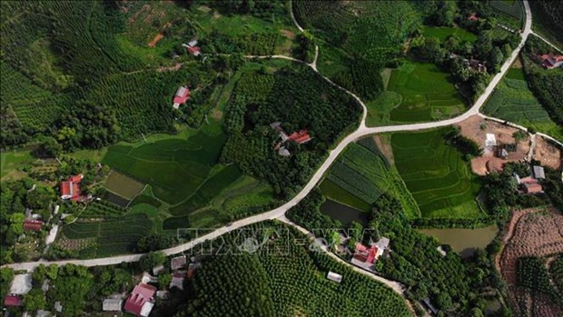 Bac Giang améliore la vie des habitants des zones montagneuses ảnh 2 Bac Giang améliore la vie des habitants des zones montagneuses ảnh 2