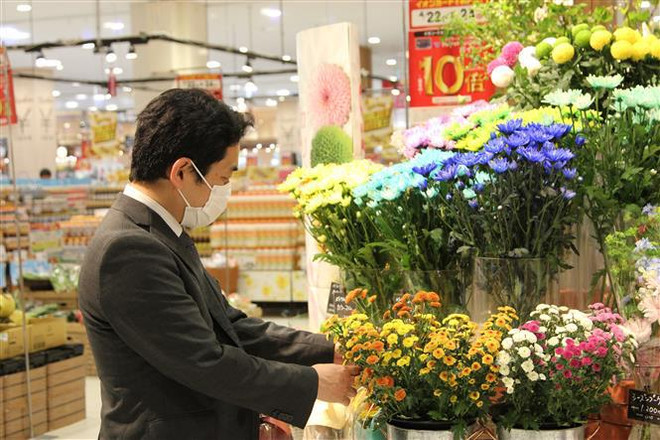 Les fleurs du Vietnam sont préférées par les consommateurs japonais ảnh 2 Les fleurs du Vietnam sont préférées par les consommateurs japonais ảnh 2