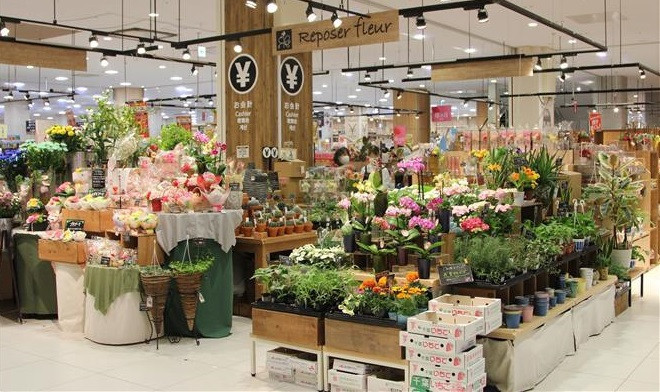 Les fleurs du Vietnam sont préférées par les consommateurs japonais ảnh 1 Les fleurs du Vietnam sont préférées par les consommateurs japonais ảnh 1