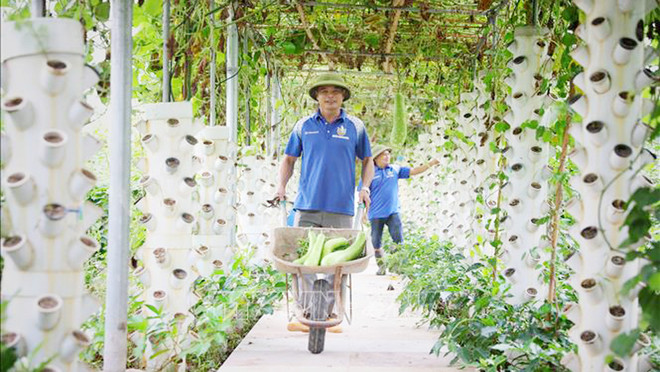 Bac Giang s'efforce d'augmenter la valeur de la production agricole ảnh 1 Bac Giang s'efforce d'augmenter la valeur de la production agricole ảnh 1