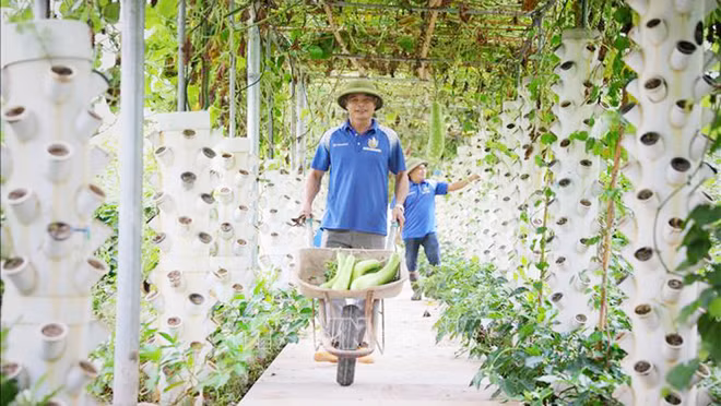 Bac Giang s'efforce d'augmenter la valeur de la production agricole ảnh 1