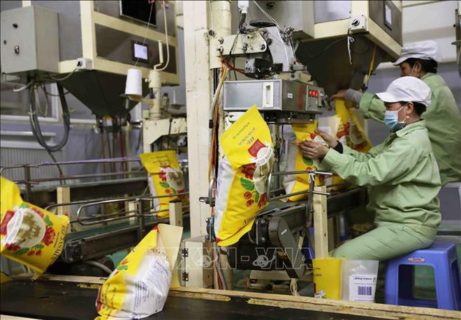 Le riz vietnamien s'écoule bien sur le marché de l'UE ảnh 1 Le riz vietnamien s'écoule bien sur le marché de l'UE ảnh 1