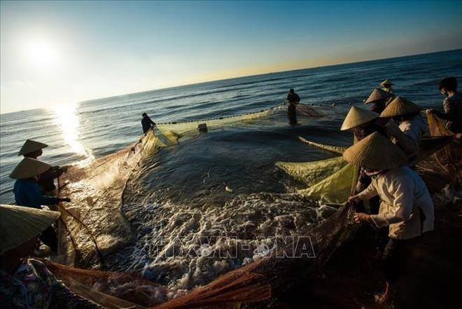 L’investissement dans les ports de pêche contribue à l’aquaculture durable ảnh 2 L’investissement dans les ports de pêche contribue à l’aquaculture durable ảnh 2