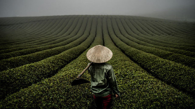 Un Vietnam merveilleux via l’objectif d’un photographe américain ảnh 4 Un Vietnam merveilleux via l’objectif d’un photographe américain ảnh 4