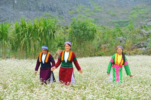 La province de Ha Giang attend l’essor de son tourisme ảnh 1 La province de Ha Giang attend l’essor de son tourisme ảnh 1