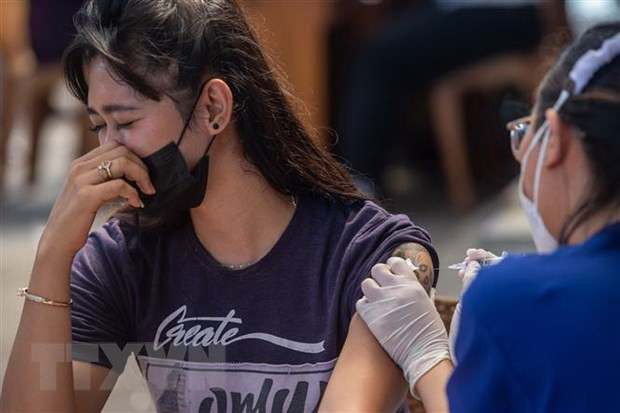 L'Indonésie appelle à la coopération de l'APEC pour surmonter la crise du COVID-19 ảnh 1