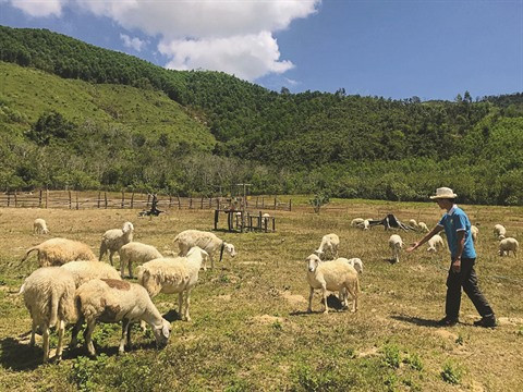 Quatre jeunes hommes et leur ferme selon le modèle israélien ảnh 1 Quatre jeunes hommes et leur ferme selon le modèle israélien ảnh 1