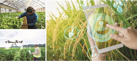 Les agriculteurs au cœur de la transition numérique ảnh 1 Les agriculteurs au cœur de la transition numérique ảnh 1