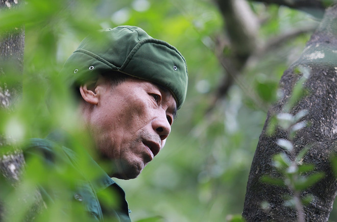Un braconnier devient "Héros de la conservation" à Hà Nam ảnh 1 Un braconnier devient "Héros de la conservation" à Hà Nam ảnh 1