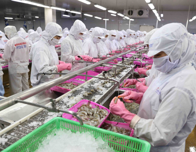Pour que le Vietnam devienne un centre mondial de transformation des produits aquatiques ảnh 1 Pour que le Vietnam devienne un centre mondial de transformation des produits aquatiques ảnh 1