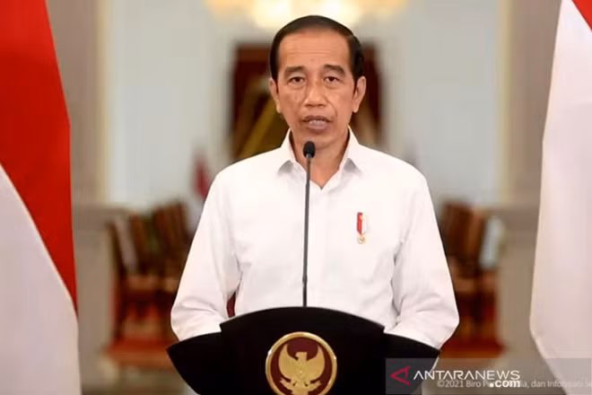 COVID-19: Situation épidémique aux Philippines et en Indonésie ảnh 2