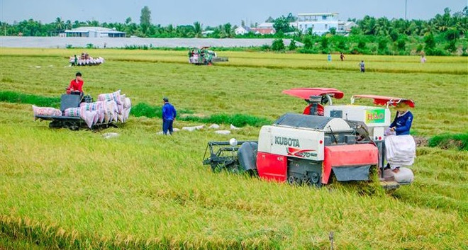 Aide australienne dans le développement agricole au Vietnam ảnh 1 Aide australienne dans le développement agricole au Vietnam ảnh 1