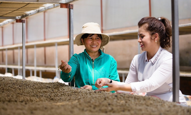 King Coffee annonce un projet de coopération avec des fournisseurs agricoles vietnamiens ảnh 1 King Coffee annonce un projet de coopération avec des fournisseurs agricoles vietnamiens ảnh 1