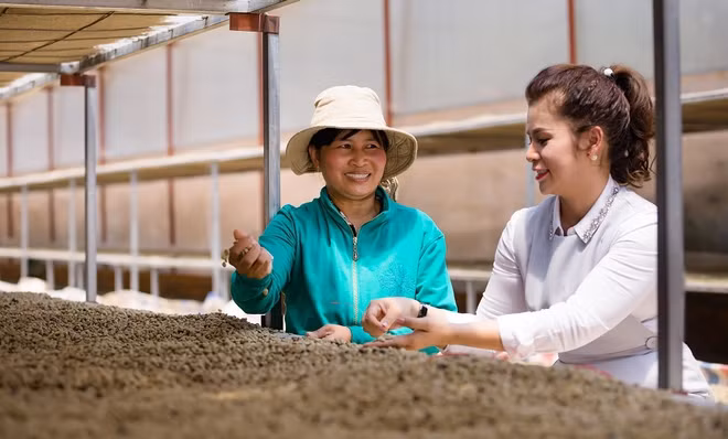 King Coffee annonce un projet de coopération avec des fournisseurs agricoles vietnamiens ảnh 1