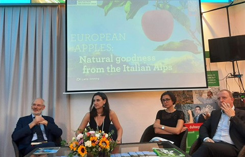 Des pommes italiennes seront bientôt présentes au Vietnam ảnh 1 Des pommes italiennes seront bientôt présentes au Vietnam ảnh 1