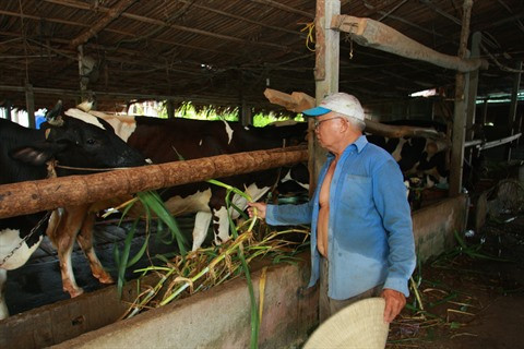 Hô Chi Minh-Ville rehausse l'efficacité du programme d’édification "La nouvelle ruralité" ảnh 2 Hô Chi Minh-Ville rehausse l'efficacité du programme d’édification "La nouvelle ruralité" ảnh 2