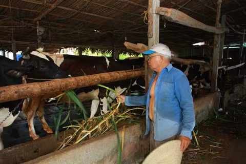 Hô Chi Minh-Ville rehausse l'efficacité du programme d’édification "La nouvelle ruralité" ảnh 2