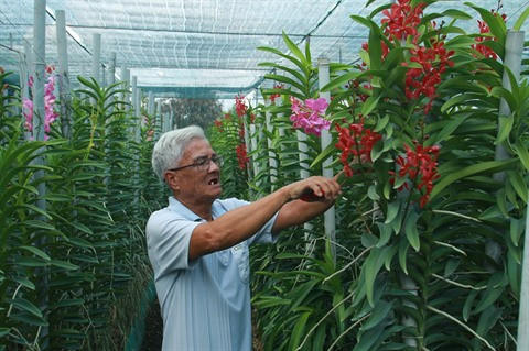 Hô Chi Minh-Ville rehausse l'efficacité du programme d’édification "La nouvelle ruralité" ảnh 1