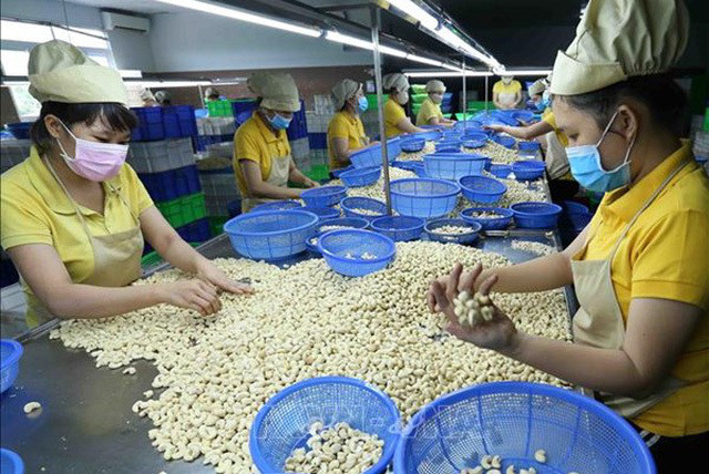 De nouvelles opportunités pour les relations commerciales Vietnam – Suisse ảnh 3 De nouvelles opportunités pour les relations commerciales Vietnam – Suisse ảnh 3