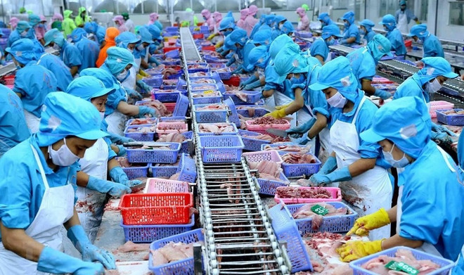 De nouvelles opportunités pour les relations commerciales Vietnam – Suisse ảnh 1 De nouvelles opportunités pour les relations commerciales Vietnam – Suisse ảnh 1