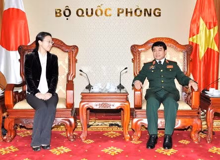 Maintien de la paix : le Japon partage ses expériences avec le Vietnam ảnh 1