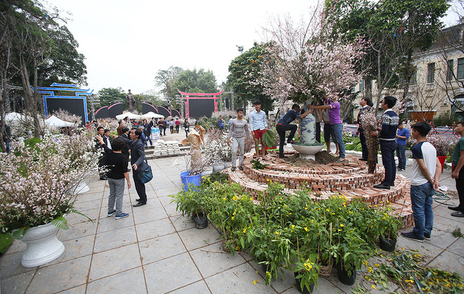 Fête des cerisiers en fleurs à Hanoï, symbole de l'amitié Vietnam-Japon ảnh 1 Fête des cerisiers en fleurs à Hanoï, symbole de l'amitié Vietnam-Japon ảnh 1