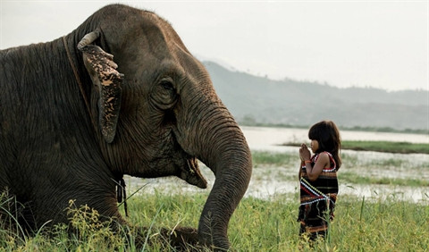 Réhahn Croquevielle, la photo en miroir de la culture ethnique vietnamienne ảnh 2 Réhahn Croquevielle, la photo en miroir de la culture ethnique vietnamienne ảnh 2
