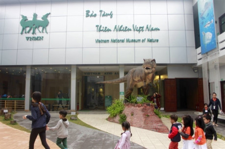 Tortue de Hoàn Kiêm : trois scénarios avancés pour conserver la dépouille ảnh 2 Tortue de Hoàn Kiêm : trois scénarios avancés pour conserver la dépouille ảnh 2